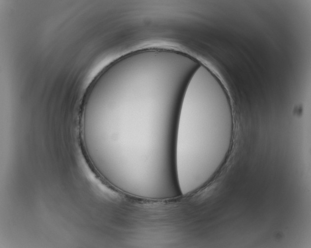 X0000111050999200906251115