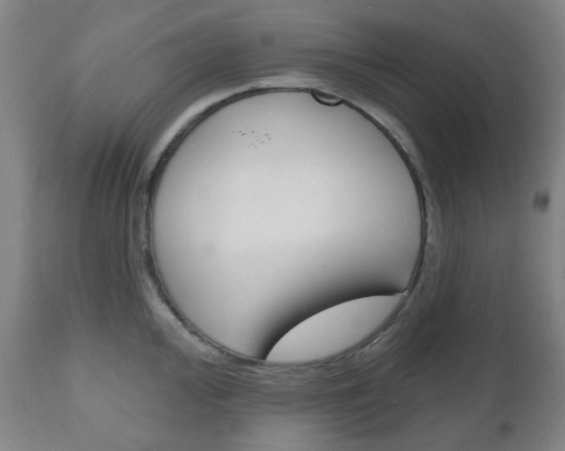 X0000111051000200906251115