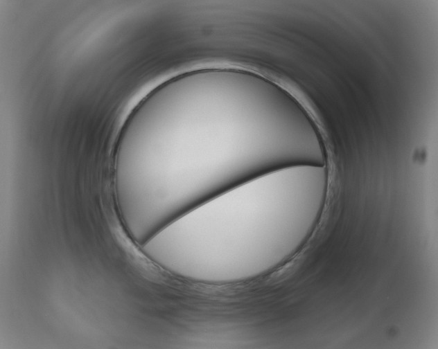 X0000111051004200906251115