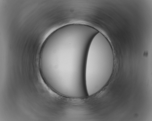 X0000111051007200906251115