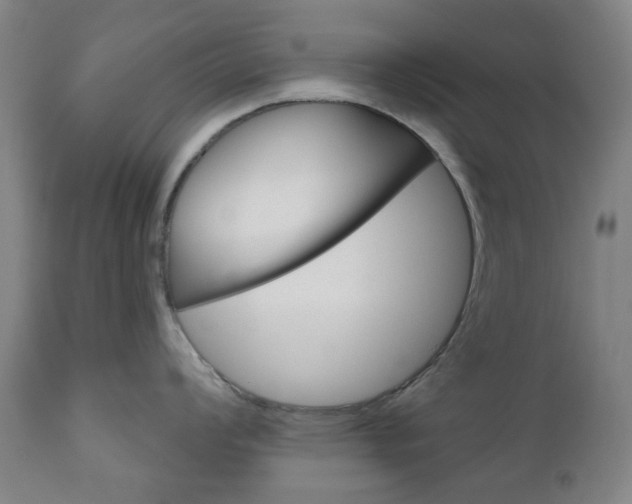 X0000111051008200906251115