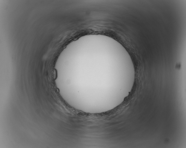 X0000111051009200906251114