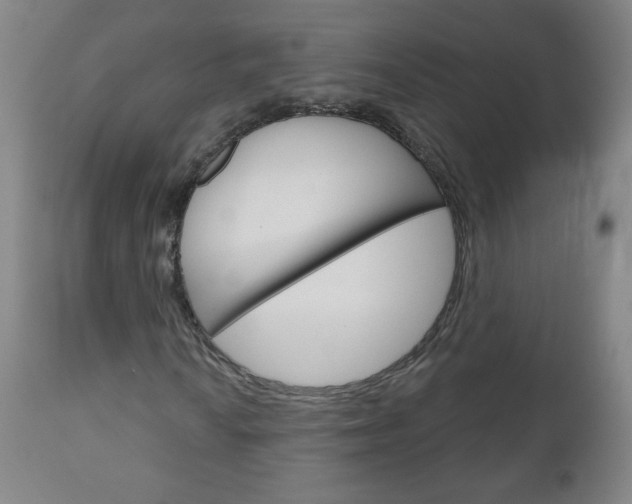 X0000111051010200906251114