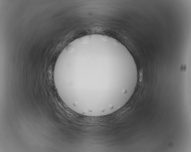 X0000111051011200906251114