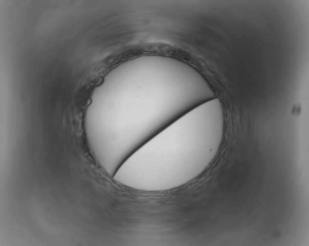 X0000111051013200906251114