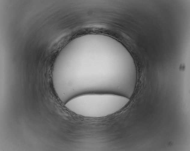 X0000111051014200906251114