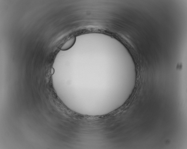 X0000111051015200906251114