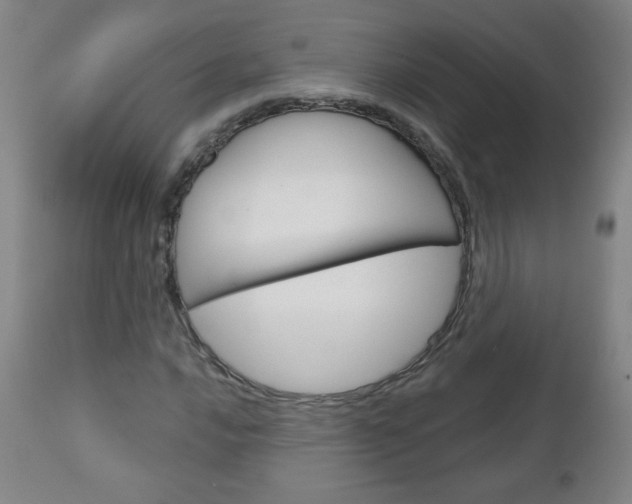 X0000111051016200906251114
