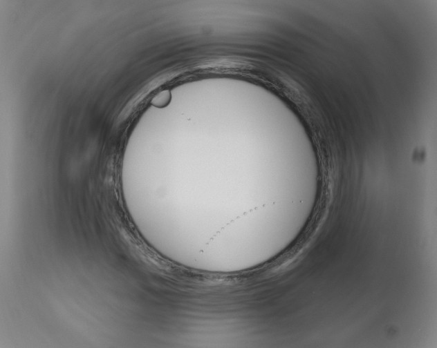 X0000111051017200906251114