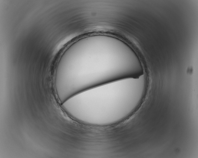 X0000111051018200906251114