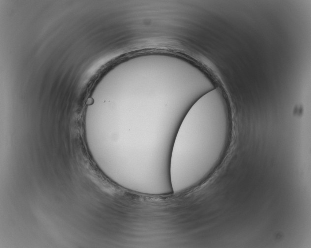 X0000111051019200906251114