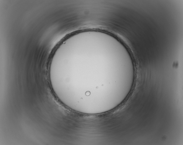 X0000111051023200906251114