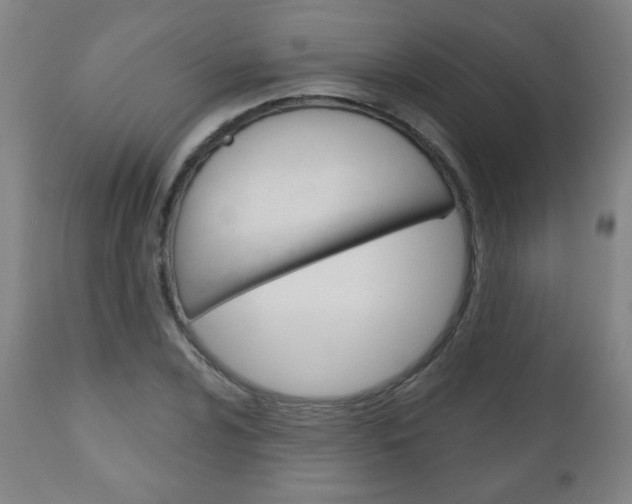 X0000111051024200906251114