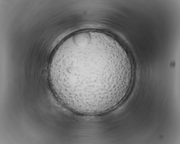 X0000111051025200906251114