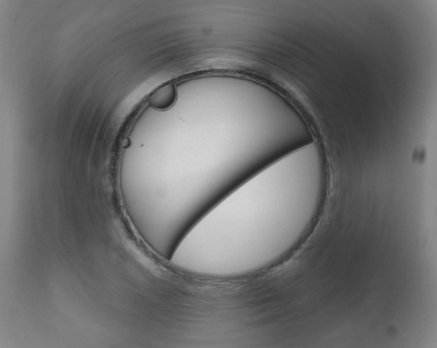 X0000111051026200906251114