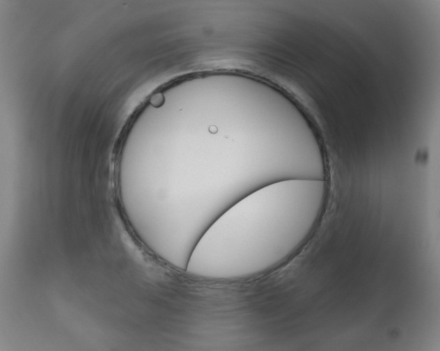 X0000111051031200906251114