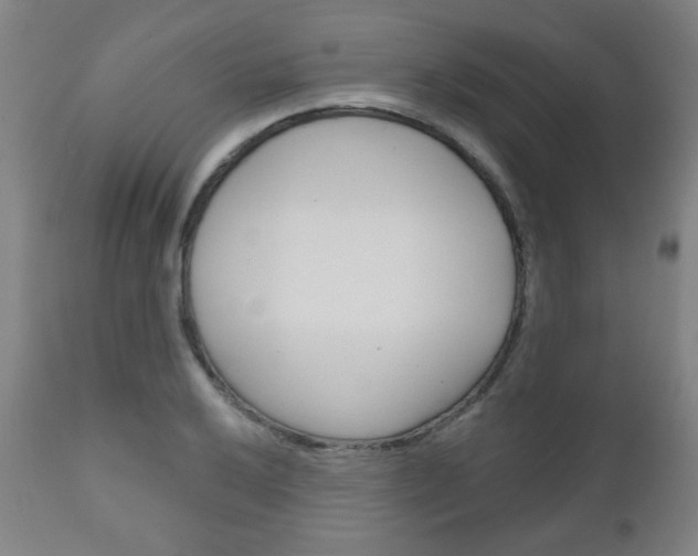 X0000111051032200906251114