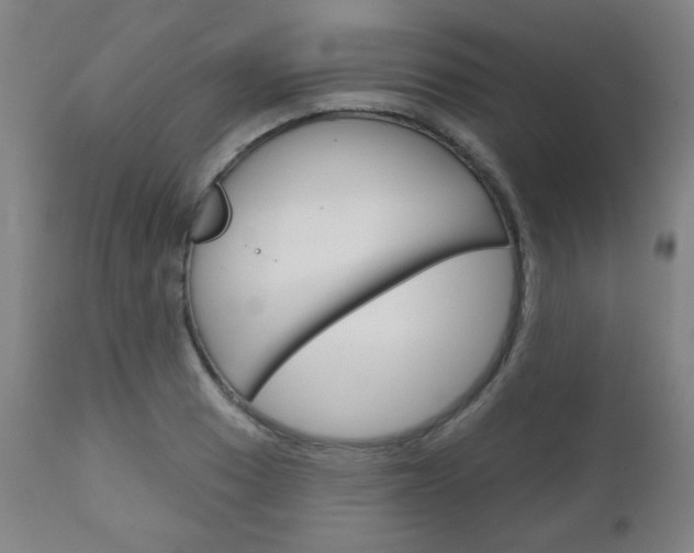 X0000111051033200906251114