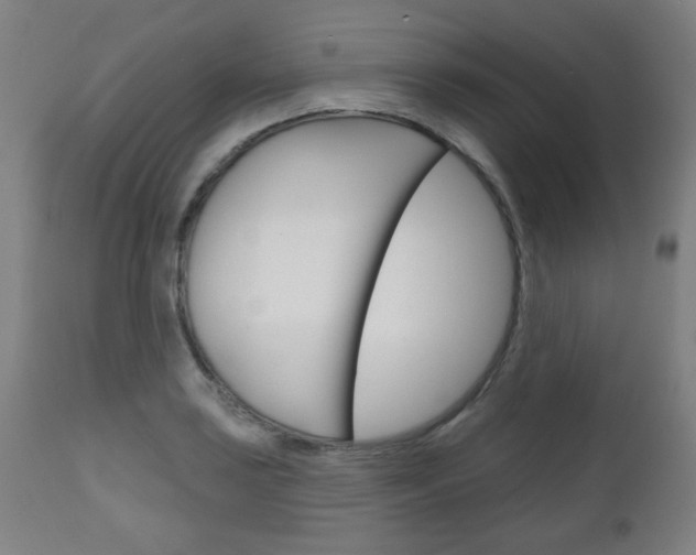 X0000111051035200906251115