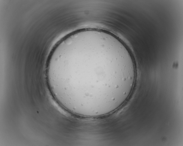 X0000111051037200906251115
