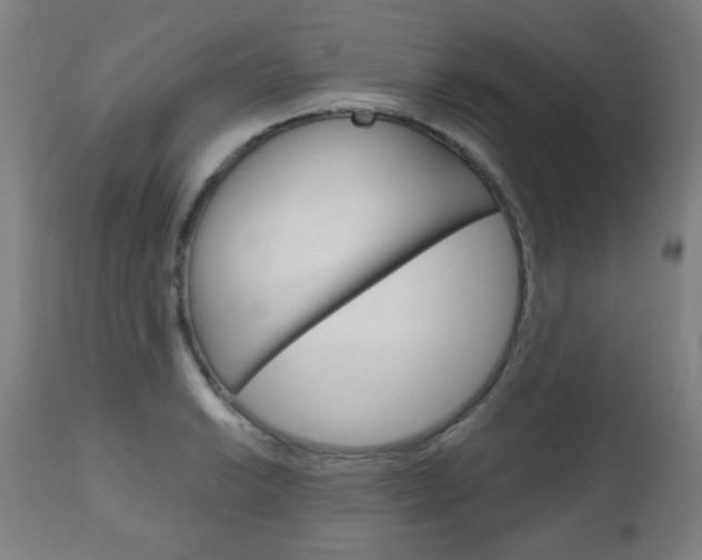 X0000111051038200906251115
