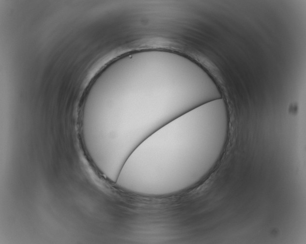 X0000111051039200906251115