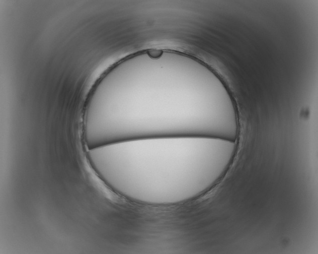 X0000111051040200906251115