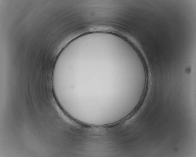X0000111051041200906251115