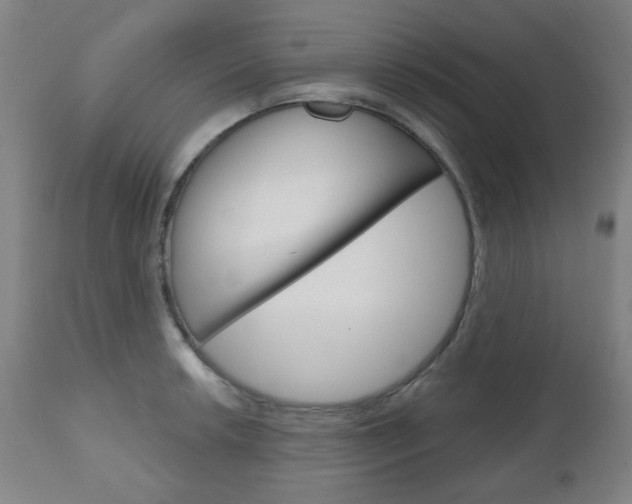 X0000111051042200906251115