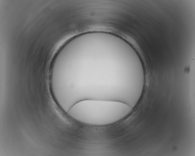 X0000111051043200906251115