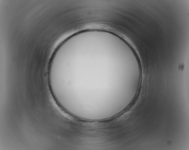 X0000111051045200906251115