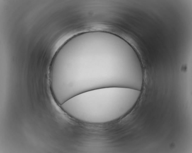 X0000111051047200906251115