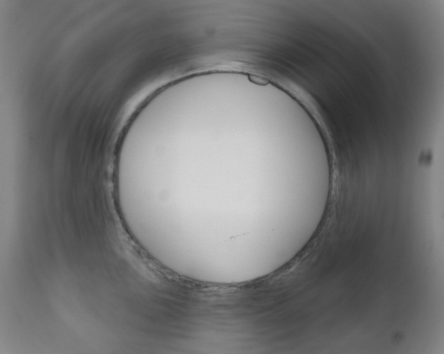 X0000111051051200906251115
