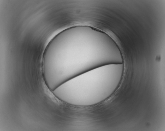 X0000111051052200906251115