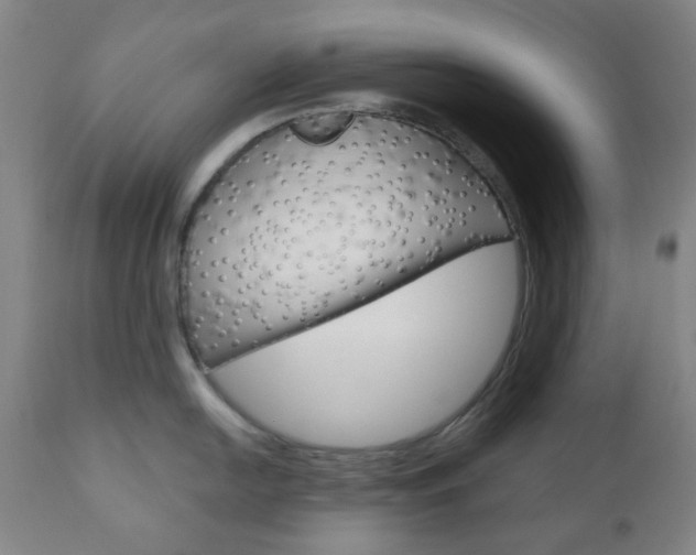 X0000111051054200906251115