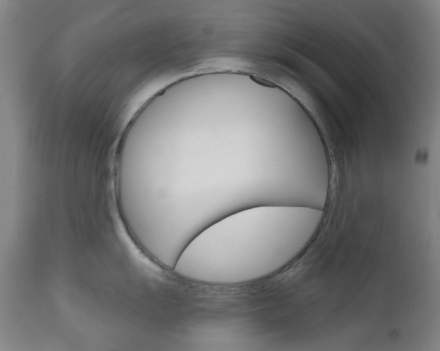 X0000111051055200906251115