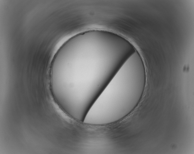 X0000111051056200906251115