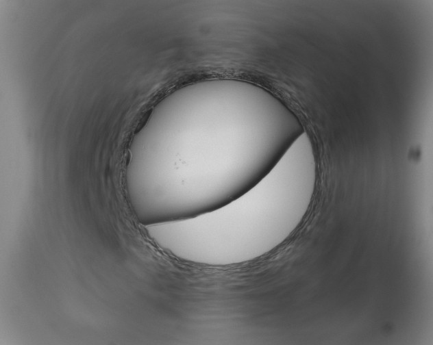 X0000111051057200906251114