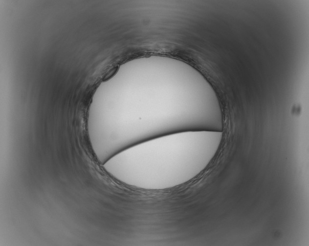 X0000111051058200906251114