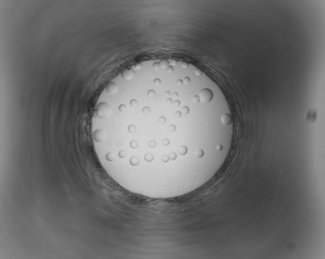 X0000111051059200906251114