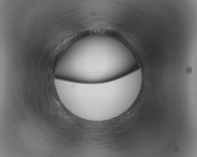 X0000111051060200906251114