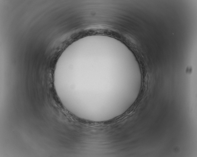 X0000111051062200906251114