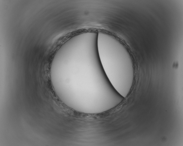 X0000111051063200906251114