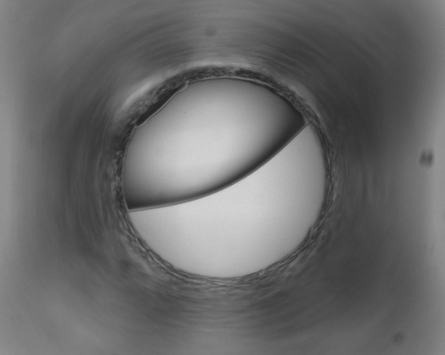 X0000111051064200906251114