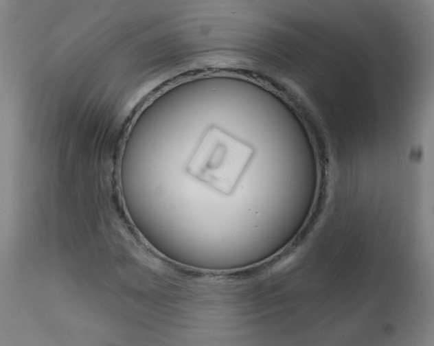 X0000111051065200906251114