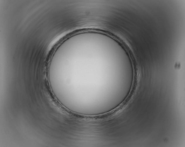 X0000111051069200906251114