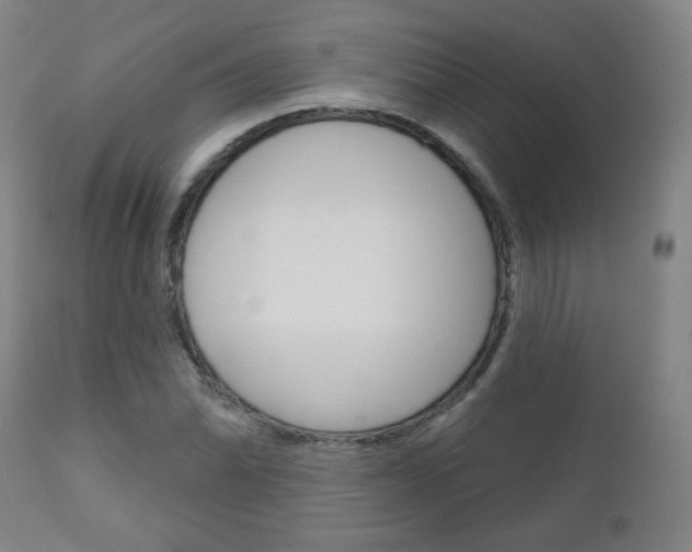 X0000111051070200906251114