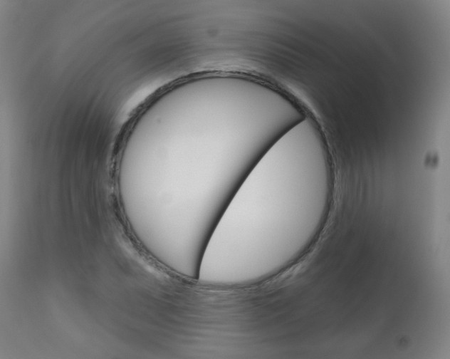 X0000111051071200906251114