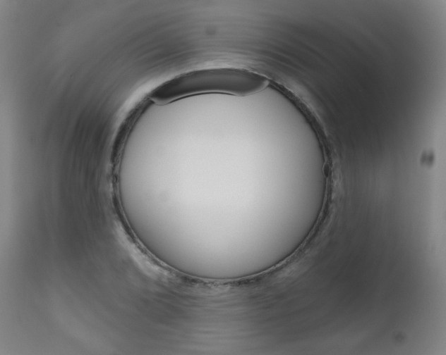X0000111051072200906251114