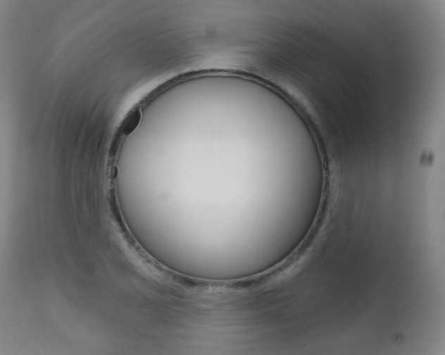 X0000111051077200906251114